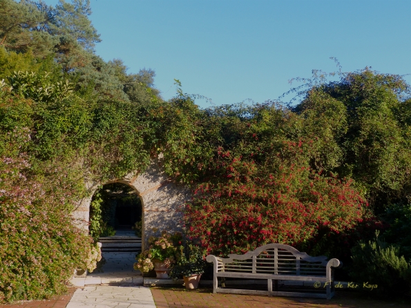 Eté indien au Bois des Moutiers 15
